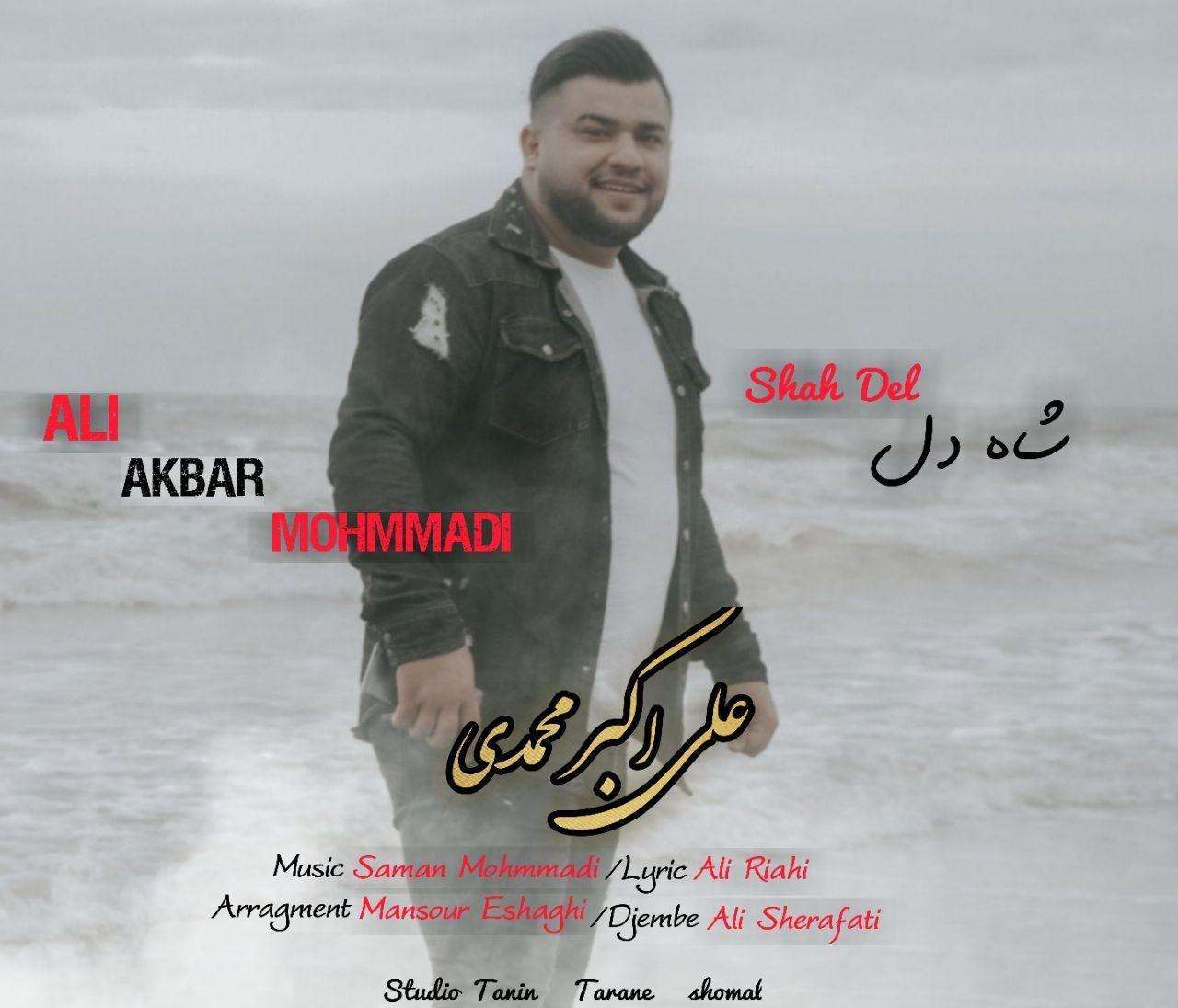 آهنگ شمالی شاه دل با علی اکبر محمدی