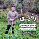 آهنگ مازندرانی رفیق با صدای علی حسینی