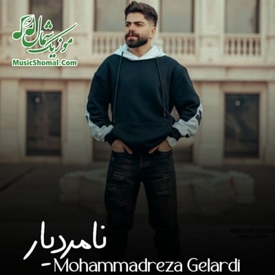 دانلود آهنگ نامردیار با صدای محمدرضا گلردی