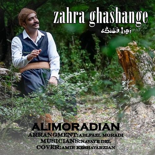 علی مرادیان زهرا قشنگه زهرا