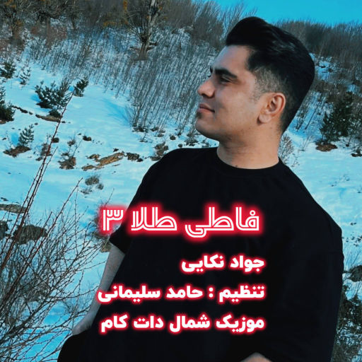 جواد نکایی فاطی طلا ۳